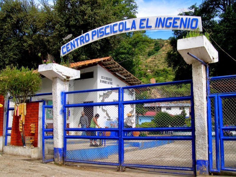 CENTRO PISCICOLA INGENIO