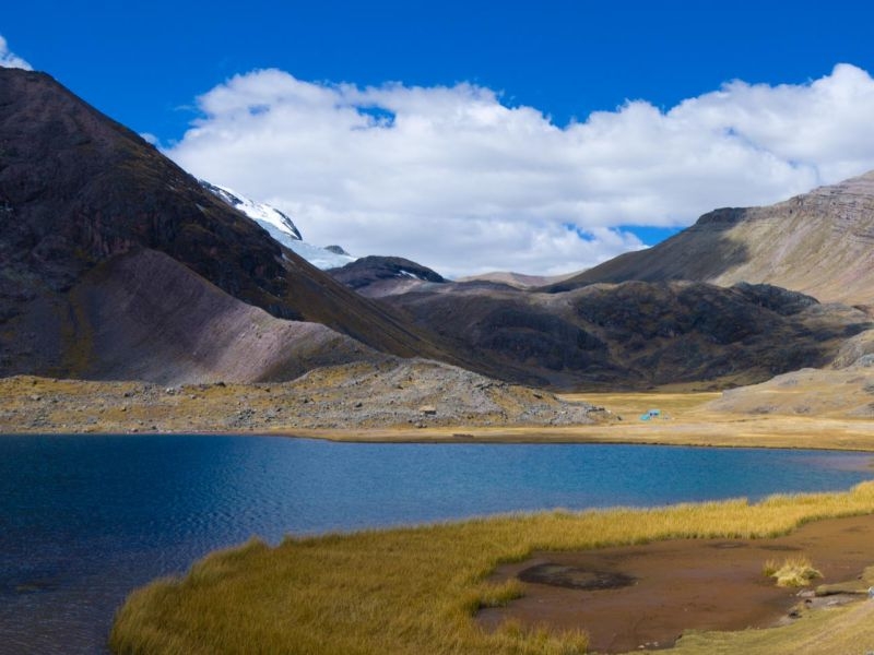 LAGUNA PUCACOCHA