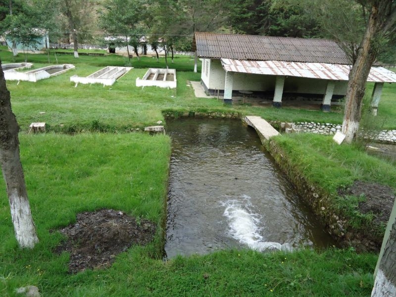 PISCIGRANJA ARTESANAL DE TRUCHAS