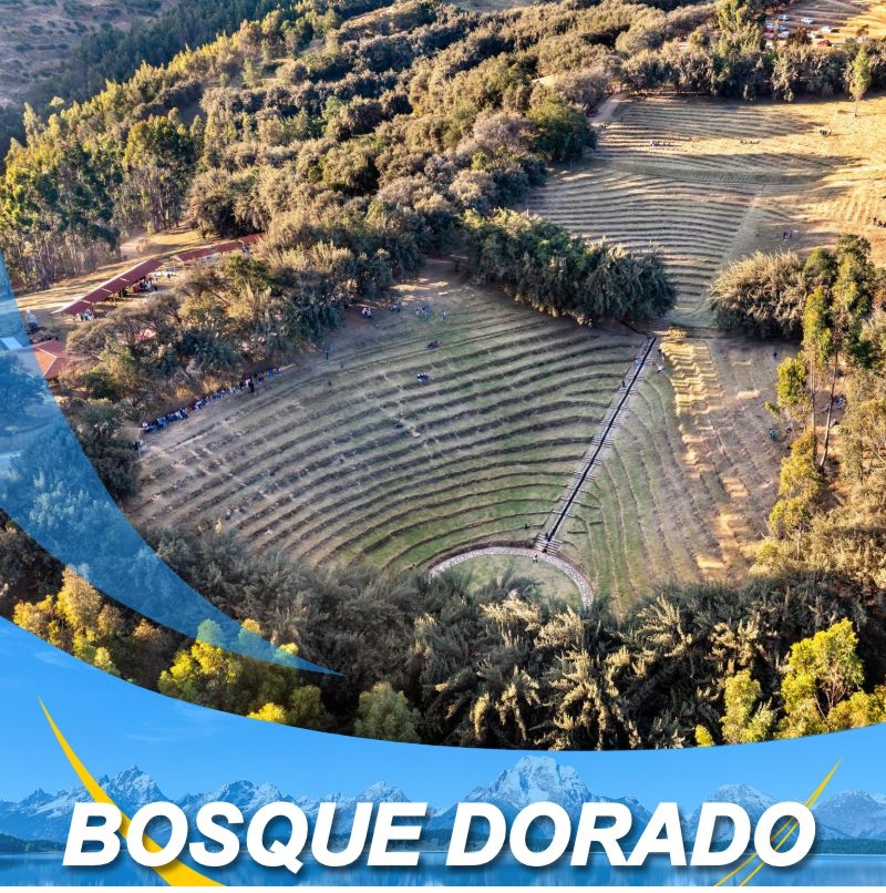 Turismomarin - TOUR BOSQUE DORADO