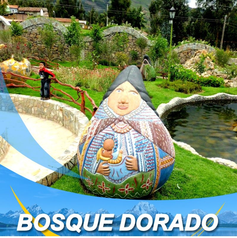 Turismomarin - TOUR BOSQUE DORADO