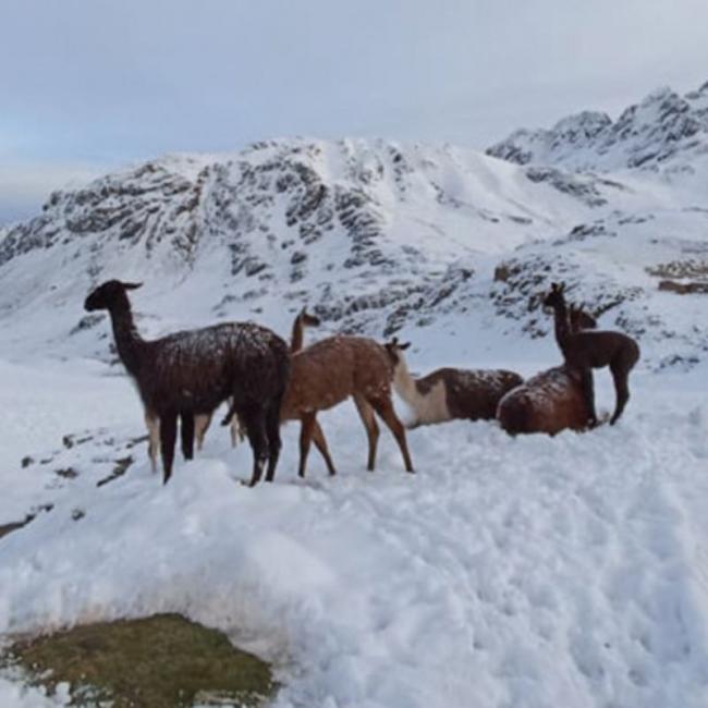 TOUR NEVADO RAJUNTAY