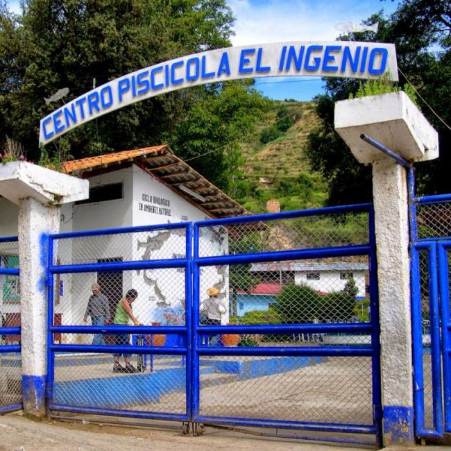 TOUR INGENIO EXTREMO