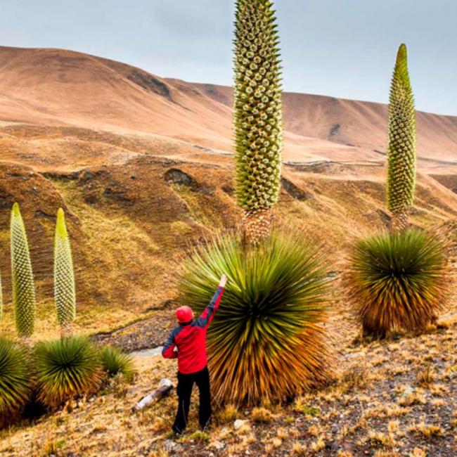 TOUR CAÑON DE SHUTJO