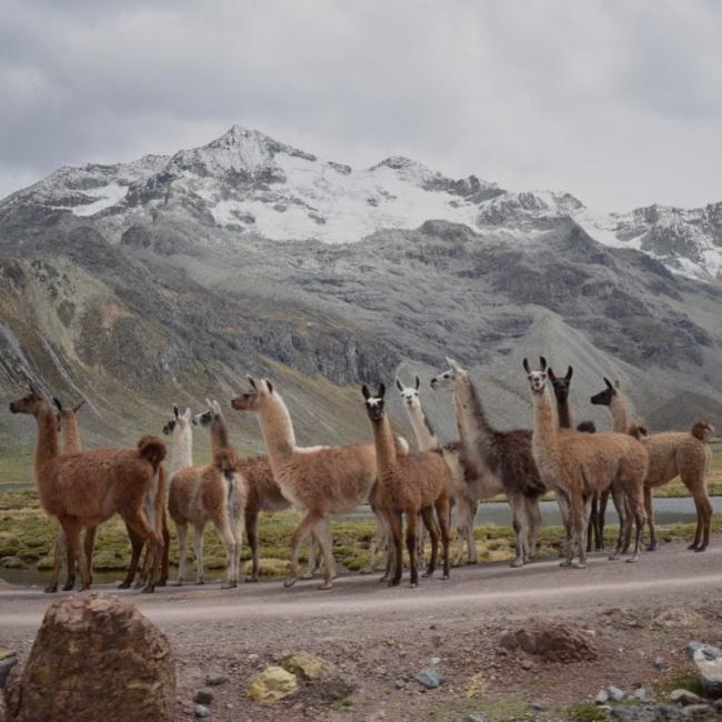 TOUR NEVADO TUNSHO