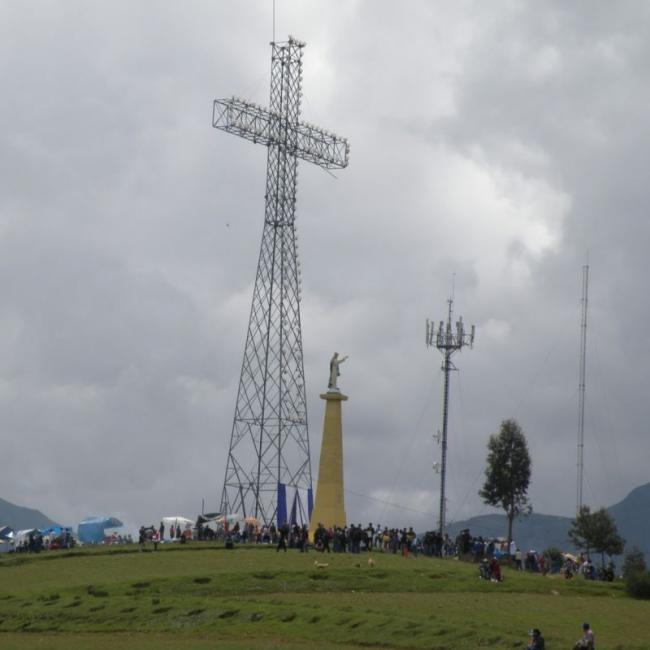 TOUR BOSQUE DORADO