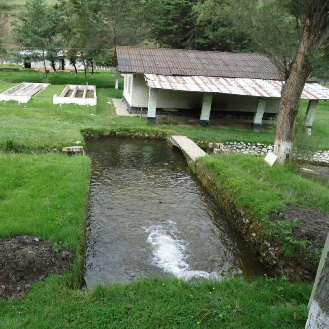 TOUR CAÑON DE SHUTJO